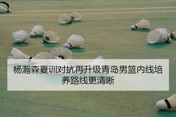 杨瀚森夏训对抗再升级青岛男篮内线培养路线更清晰 - kaiyun
