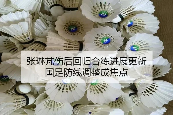 张琳芃伤后回归合练进展更新 国足防线调整成焦点 | kaiyun